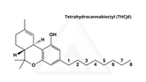 THCjd: Is this New cannabinoid the “most psychoactive”?