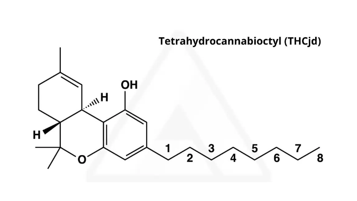 THCjd: Is this New cannabinoid the “most psychoactive”?